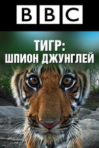 BBC: Тигр — Шпион джунглей (сериал 2008)