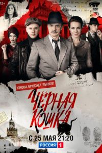 Черная кошка (сериал 2016)