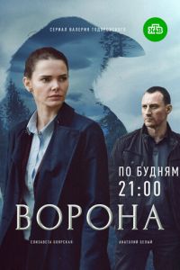 Ворона (сериал 2018)