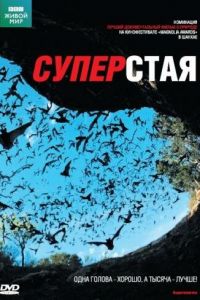 BBC: Суперстая (фильм 2009)