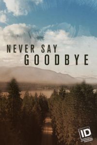 Never Say Goodbye (сериал 2019)