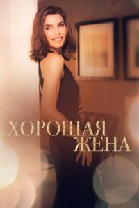 Хорошая жена (сериал 2009)