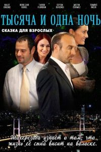 1001 ночь (сериал 2006)