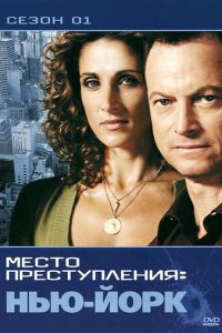 CSI: Место преступления Нью-Йорк (сериал 2004)