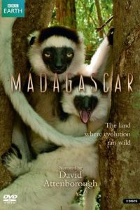 BBC: Мадагаскар (сериал 2011)
