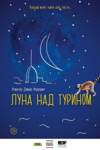 Луна над Турином (фильм 2013)