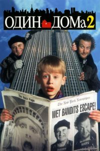 Один дома 2: Затерянный в Нью-Йорке (фильм 1992)
