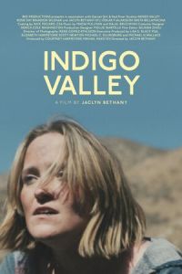 Долина индиго (фильм 2020)