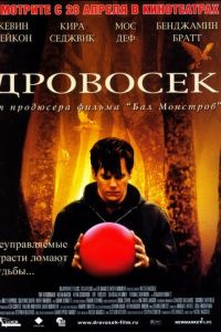 Дровосек (фильм 2004)