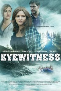 Свидетели (фильм 2015)