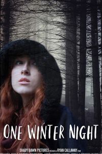One Winter Night (фильм 2019)