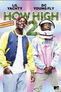 How High 2 (фильм 2019)