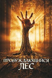 Пробуждающийся лес (фильм 2009)