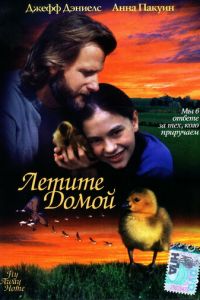 Летите домой (фильм 1996)