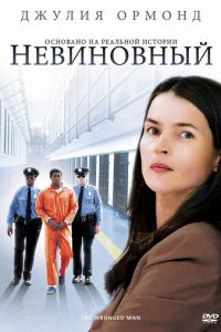 Невиновный (фильм 2009)