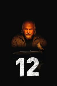 12 (фильм 2007)
