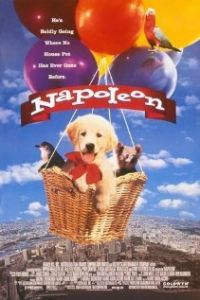 Наполеон (фильм 1995)