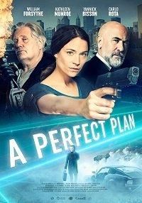 A Perfect Plan (фильм 2020)
