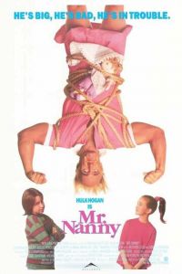 Мистер Няня (фильм 1993)