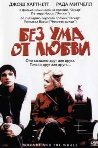 Без ума от любви (фильм 2005)