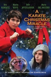 Рождественское чудо в стиле карате (фильм 2019)