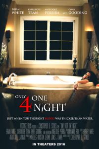 Только на одну ночь (фильм 2016)