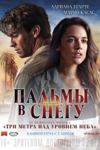 Пальмы в снегу (фильм 2015)