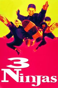 Три ниндзя (фильм 1992)