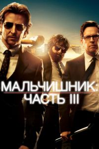 Мальчишник: Часть III (фильм 2013)