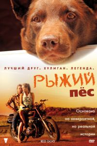 Рыжий пес (фильм 2011)
