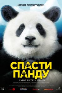 Спасти панду (фильм 2020)