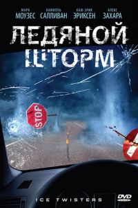 Ледяной шторм (фильм 2009)