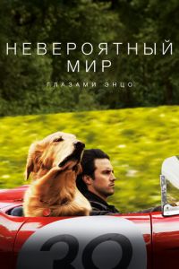 Невероятный мир глазами Энцо (фильм 2019)