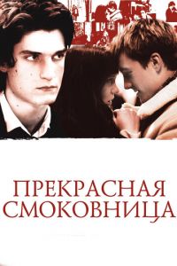 Прекрасная смоковница (фильм 2008)