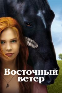 Восточный ветер (фильм 2013)