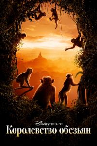 Королевство обезьян (фильм 2015)