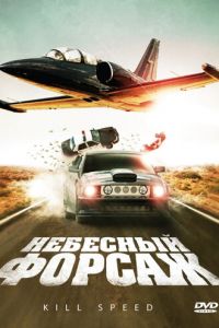 Небесный форсаж (фильм 2009)