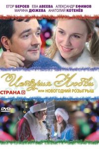 История любви, или Новогодний розыгрыш (фильм 2009)