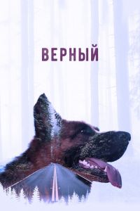 Верный (фильм 2016)