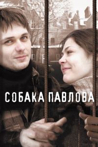 Собака Павлова (фильм 2005)