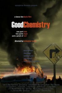 Хорошая химия (фильм 2008)