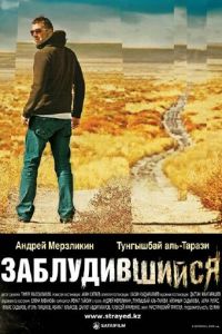 Заблудившийся (фильм 2009)