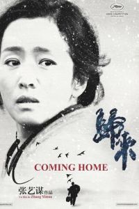 Возвращение домой (фильм 2014)