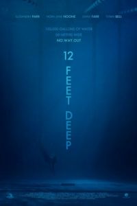 12 футов глубины (фильм 2017)