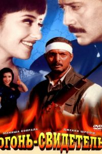 Огонь-свидетель (фильм 1996)
