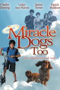 Зак и чудо-собаки (фильм 2006)