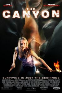 Каньон (фильм 2009)